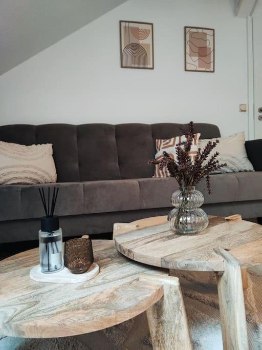 Stylische Altstadtwohnung - Netflix - Smart Tv - Schlafsofa Fur 3 Personen Erfurt Exterior foto